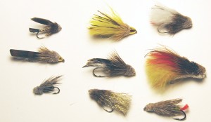 Variety of Muddler Minnows