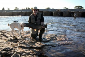 better view of area, nice salmon, grouse dog approves