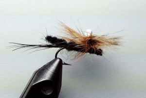 yarn_stonefly