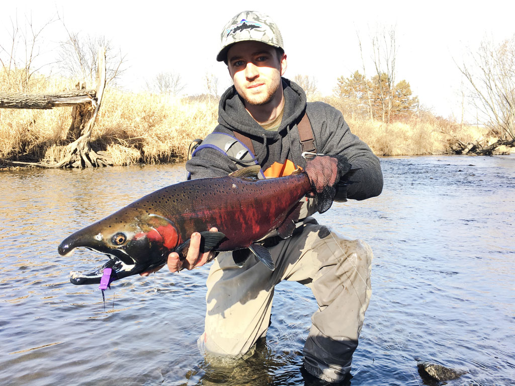 Great Lakes Coho on the Dry Fly